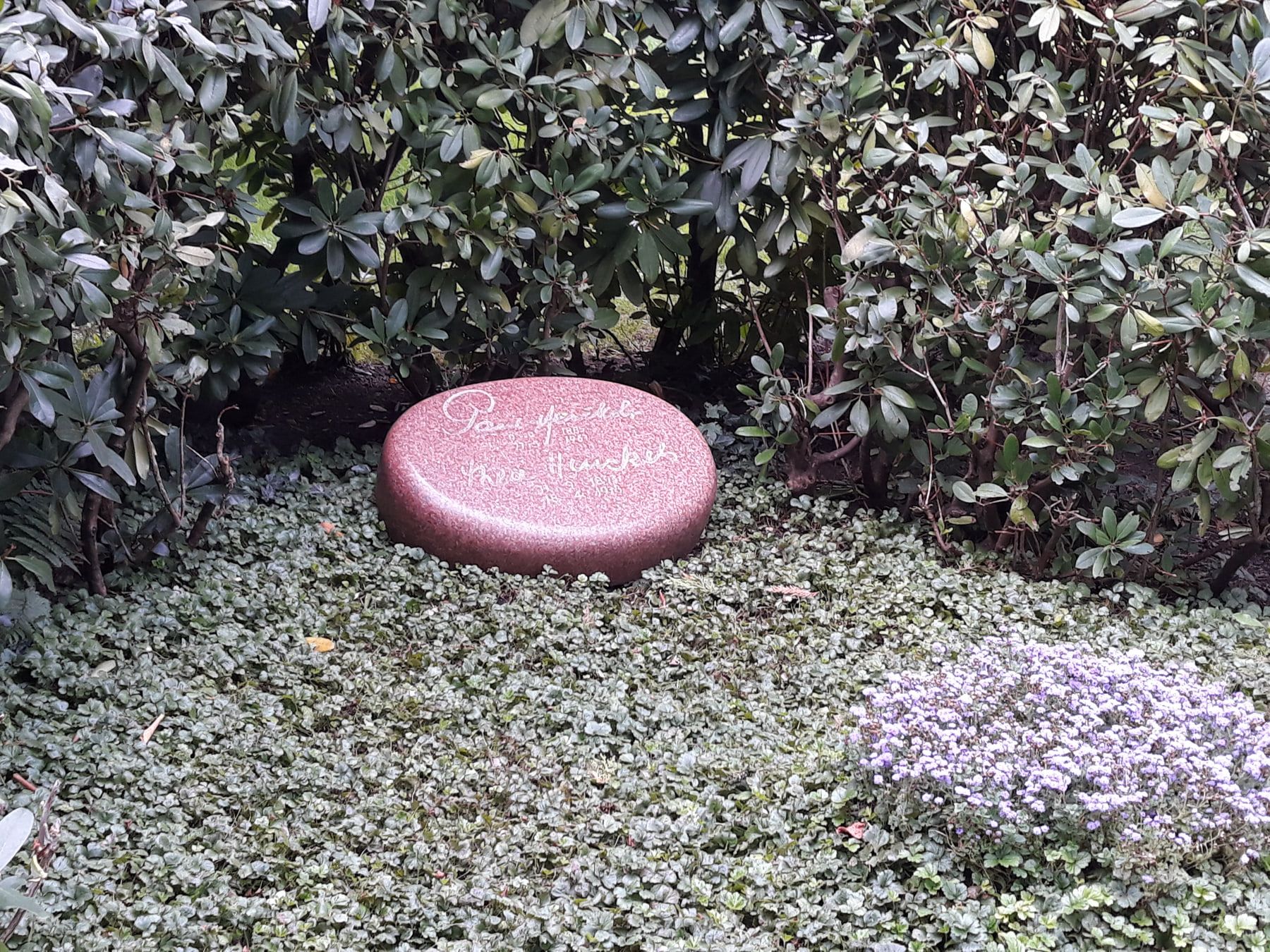 Ovaler roter Grabstein von Paul Henckels zwischen Bodendeckern und Rhododendren auf Südfriedhof Düsseldorf